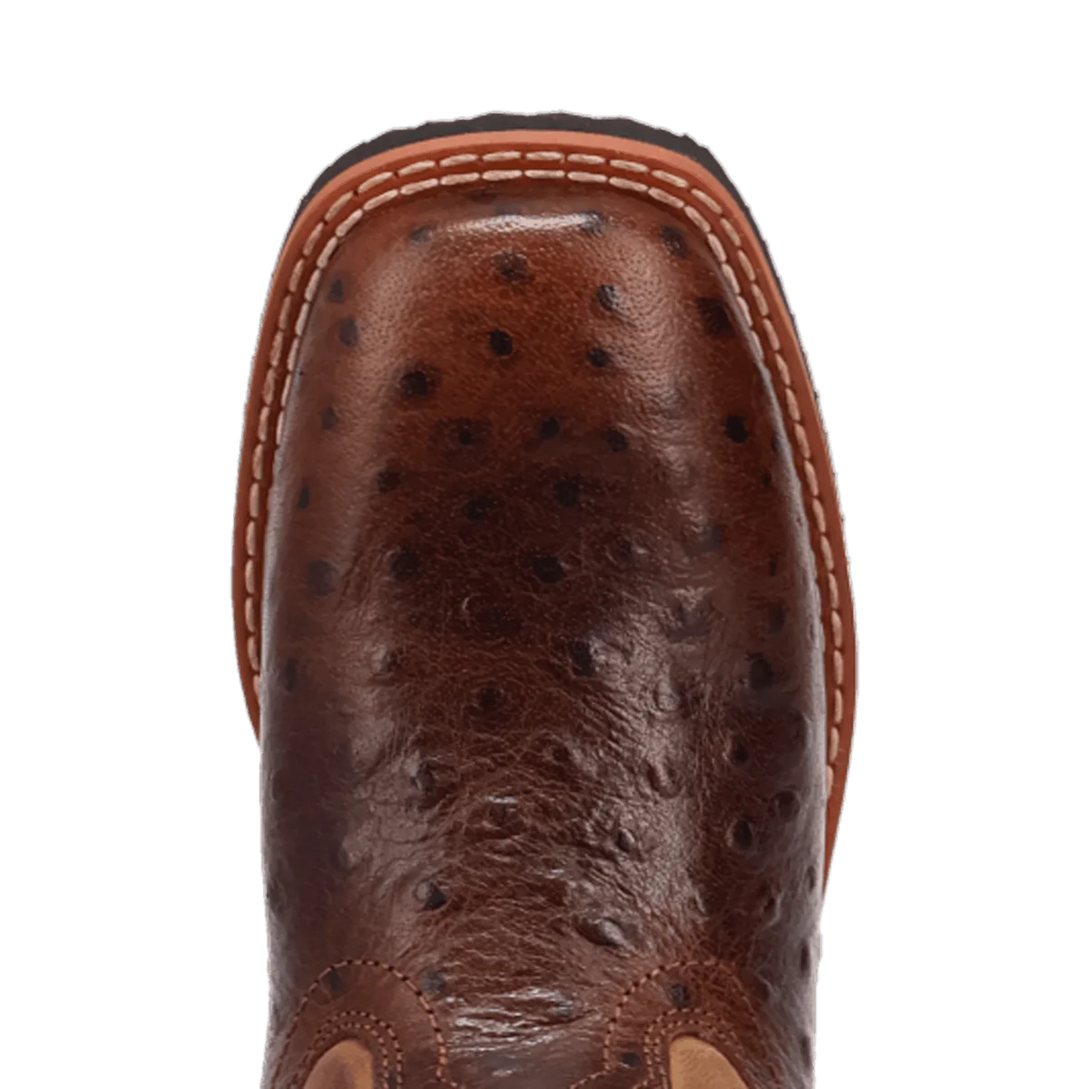Dan Post Kid's Jet Ostrich Print Western Boot in Chocolate Brown