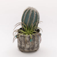 Stamped Wine Coaster with Turquoise Stones by J. Alexander Rustic Silver