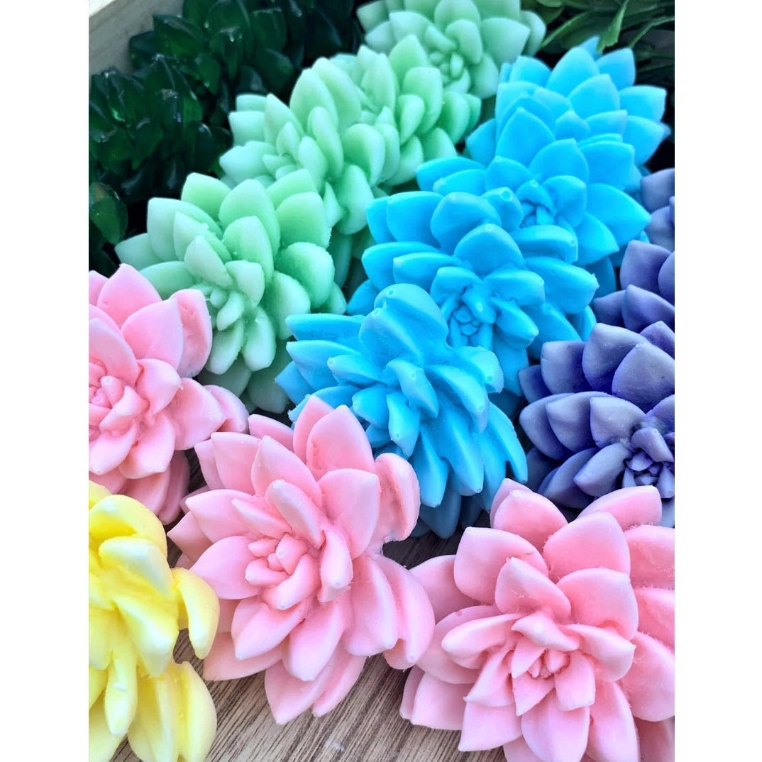 Succulent Soaps