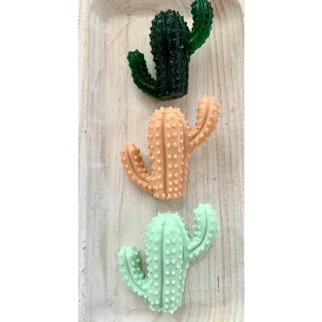 Cactus Soap