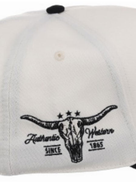 Stetson Desert Landscape Trucker Cap in White