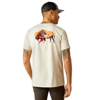 Ariat Men's Bison Landscape Graphic T-Shirt in Oatmeal Heather