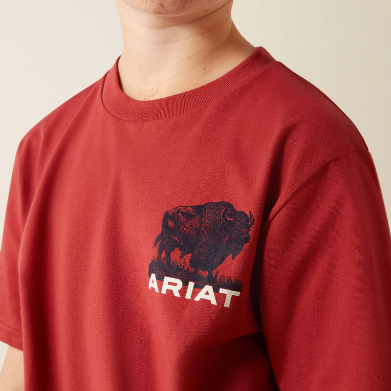 Ariat Youth Boy's S/S Buffalo Graphic T-Shirt in Brick Red