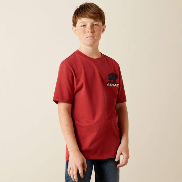 Ariat Youth Boy's S/S Buffalo Graphic T-Shirt in Brick Red