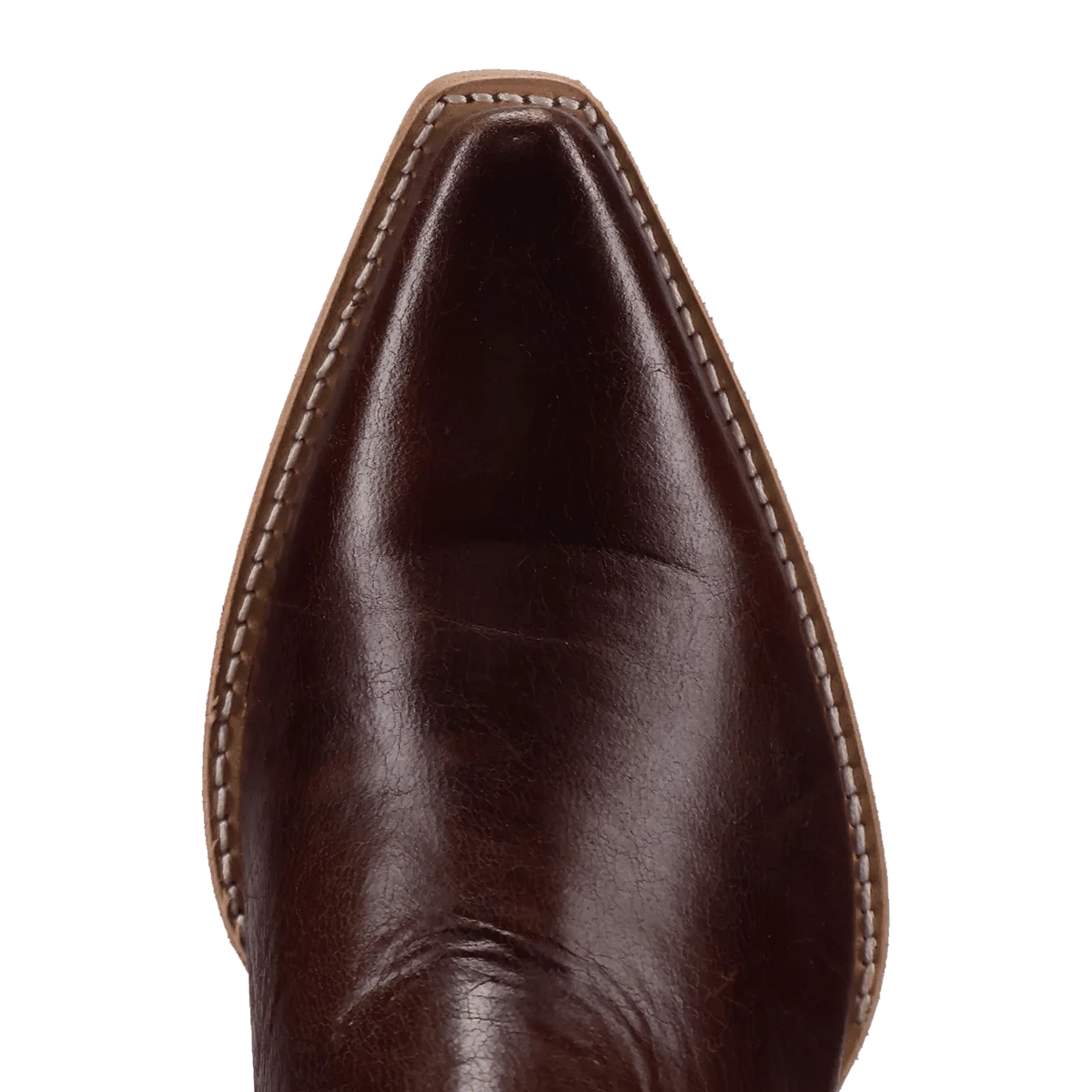Dan Post Women's Saffron Bootie in Briar
