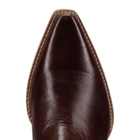 Dan Post Women's Saffron Bootie in Briar