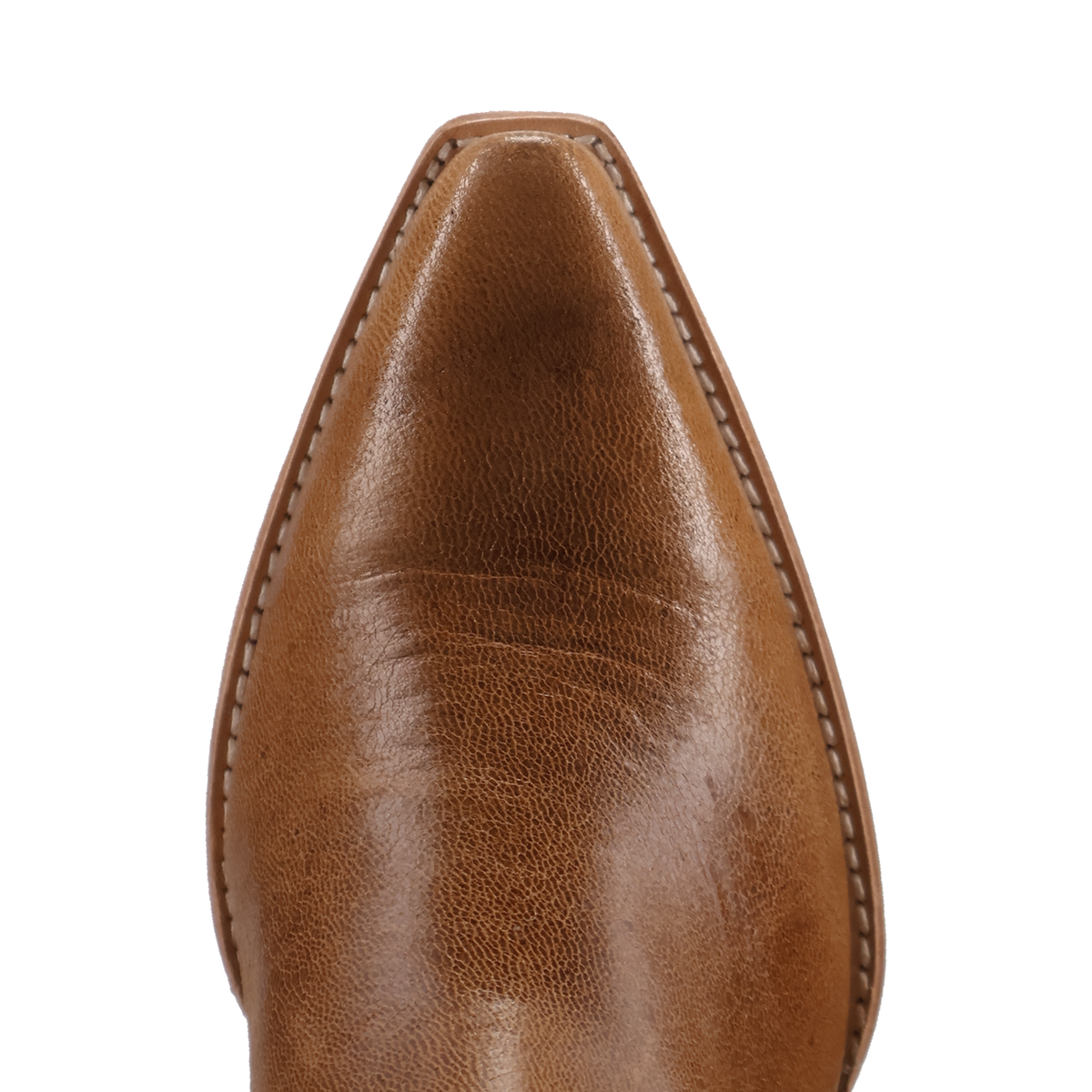 Dan Post Women's Saffron Bootie in Whiskey