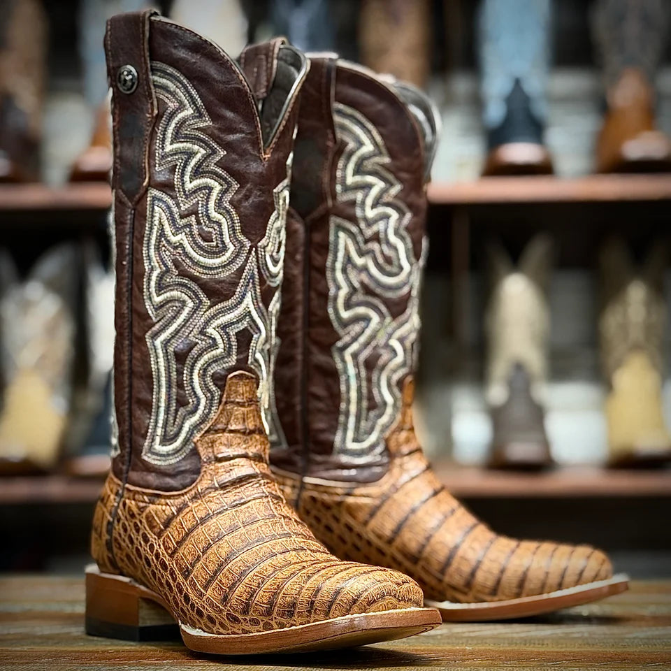 Tanner Mark Women's Caiman Belly Print Western Boots in Brandy Cognac Matte
