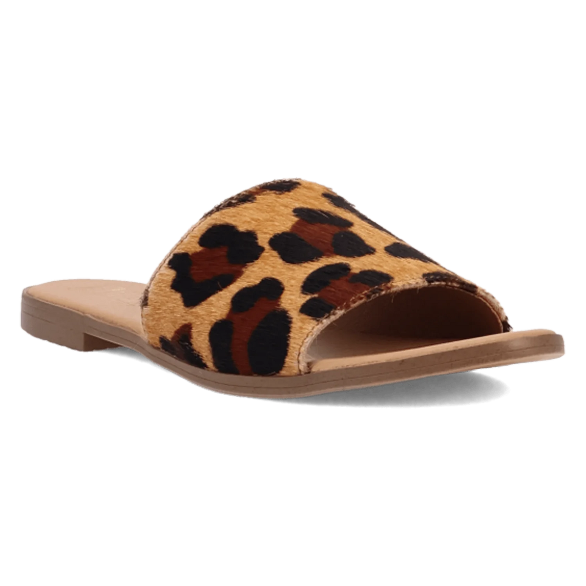 Dingo Women's Tabby Sandal in Leopard