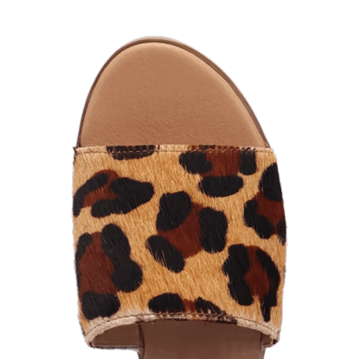 Dingo Women's Tabby Sandal in Leopard