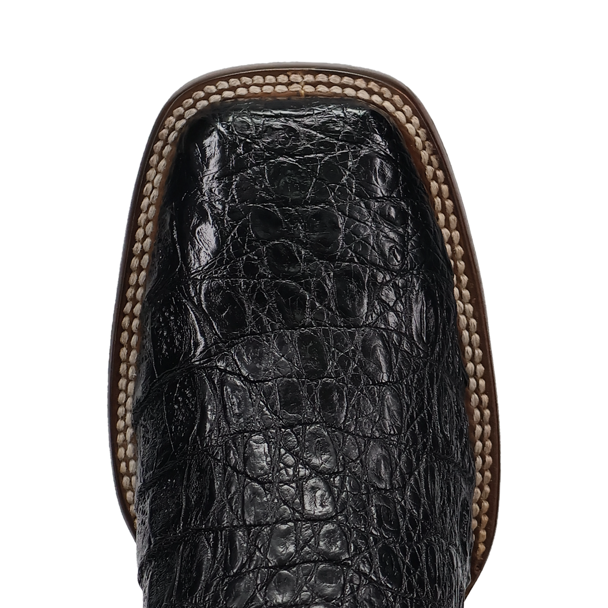 Dan Post Men's Marsh Caiman Boot in Black