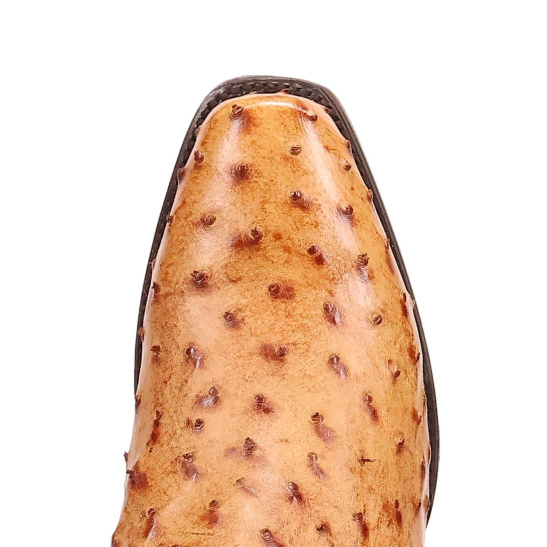 Dan Post Men's Marco Full Quill Ostrich Boot in Saddle