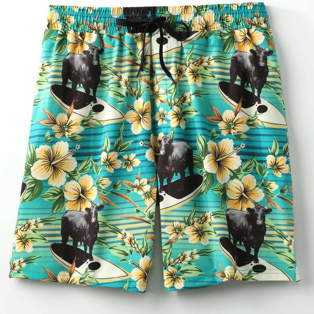 Cinch Men's Surfer Bulls Swim Trunks in Teal