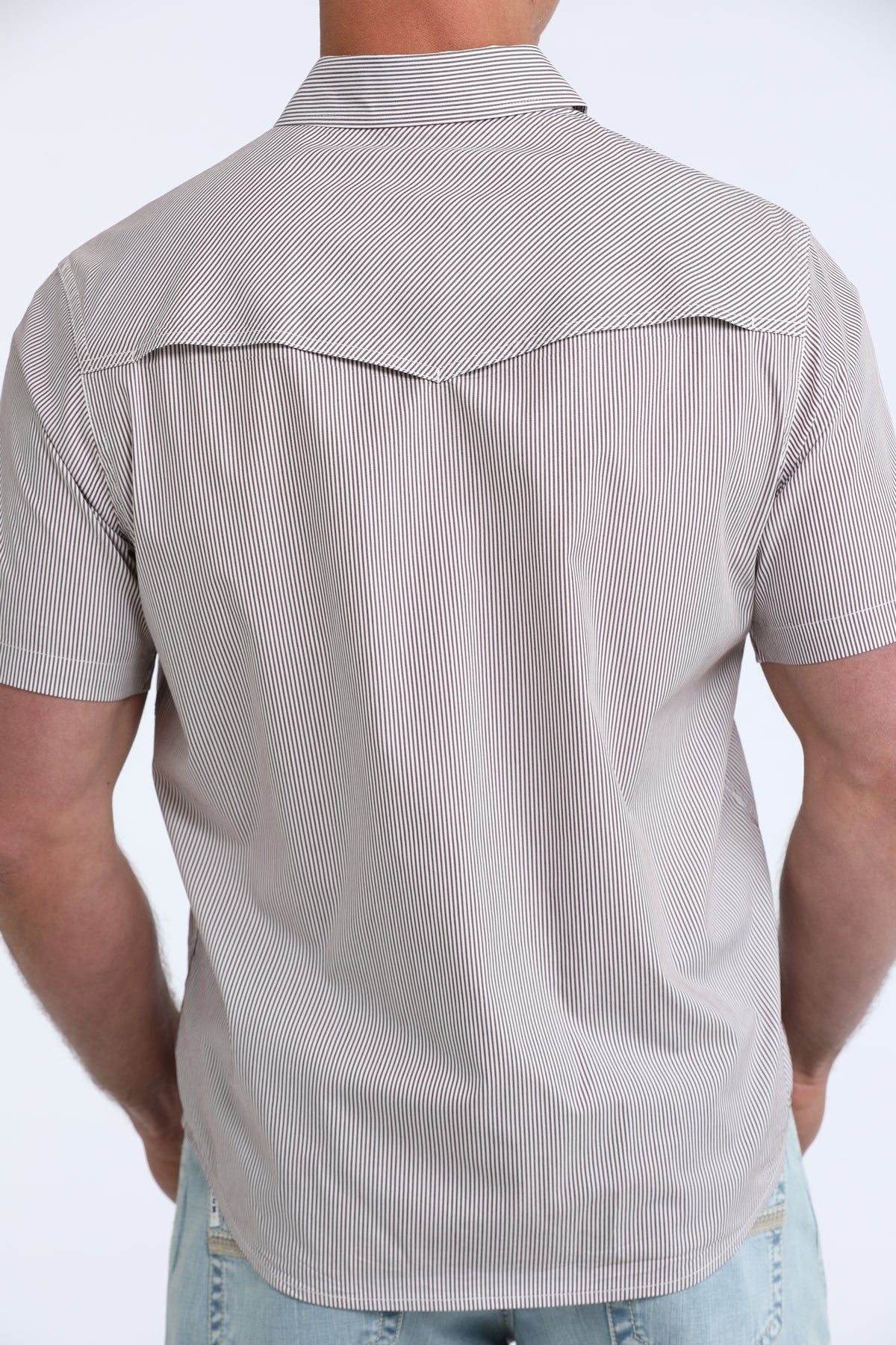 Cinch Men's S/S Camp Shirt in Burgundy Stripe