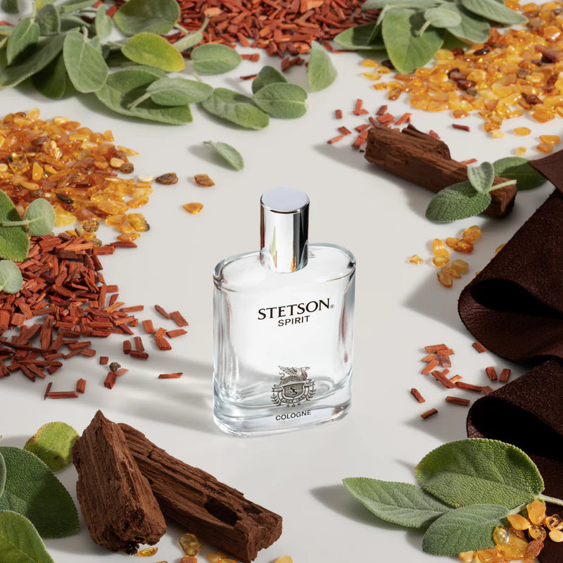 Stetson Spirit Cologne For Men