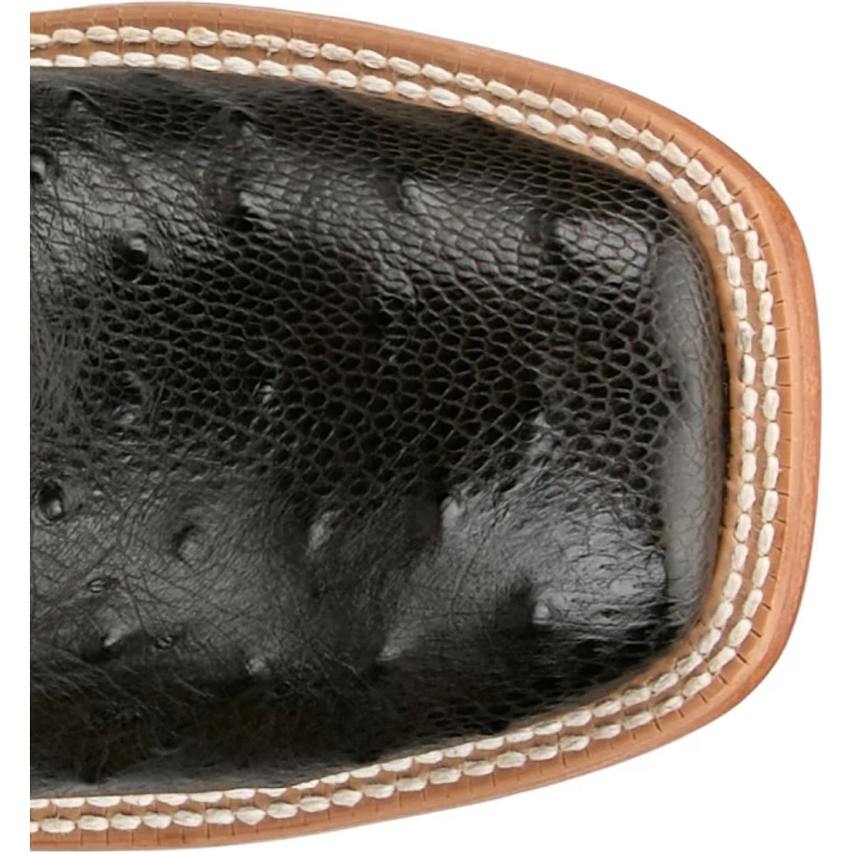 Tony Lama Men's Blaine Ostrich Western Boot in Chocolate
