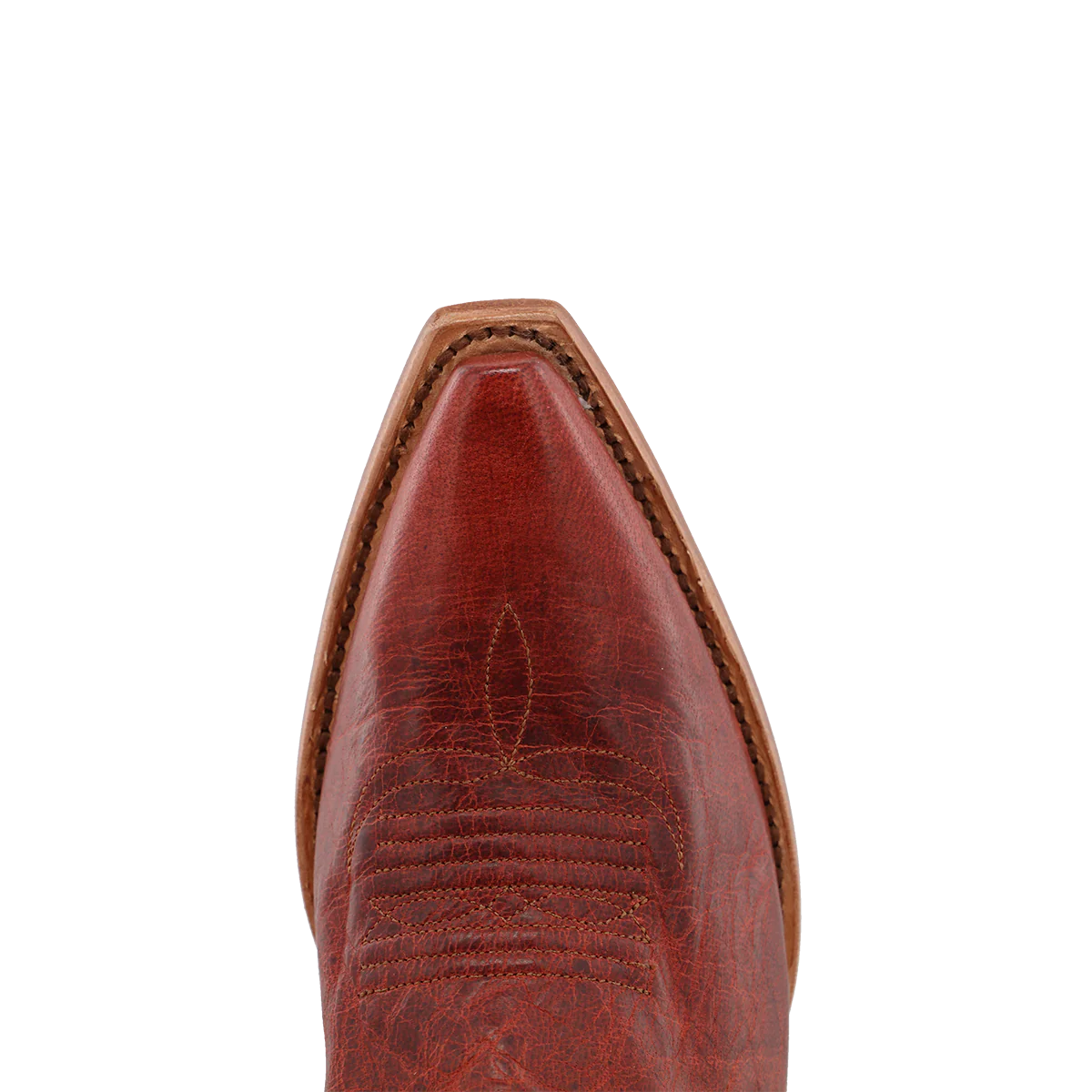 Black Star Women's 14" Victoria Snip Toe in Cranberry