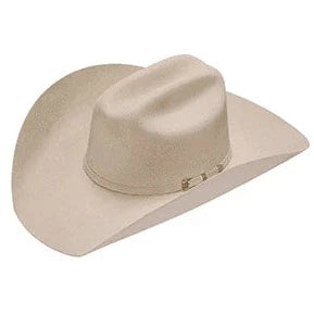 Twister Santa Fe 3X Silver Belly Select Wool Felt Hat