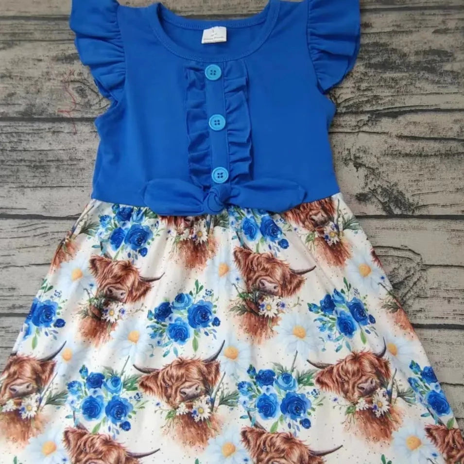 Baby & Toddler Girl's Blue Floral Highlander Dress