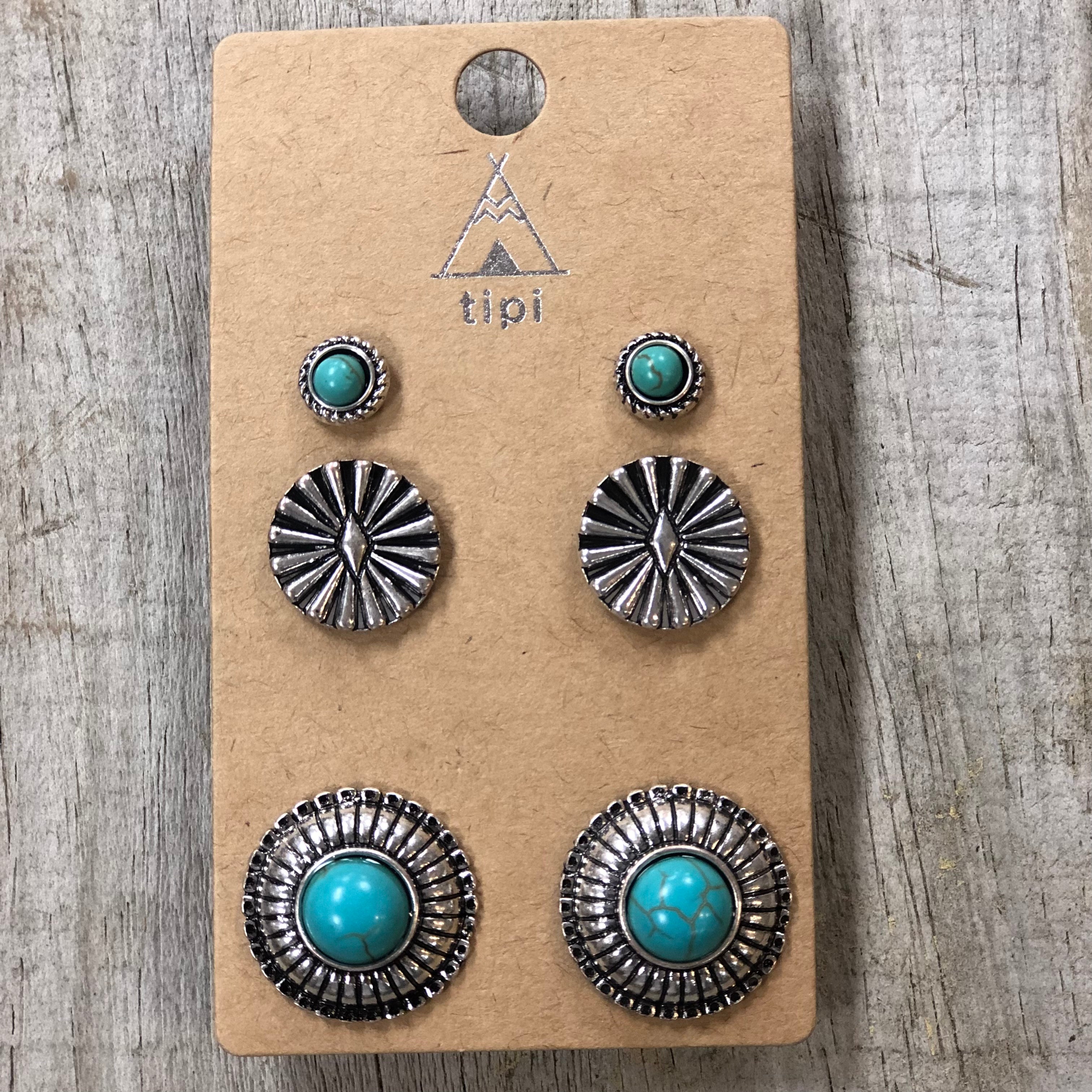 6 Pair Western Design Stud Earring Set – Bluetortoisewholesale