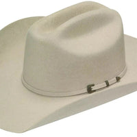 Twister Dallas Silver Belly Felt Hat